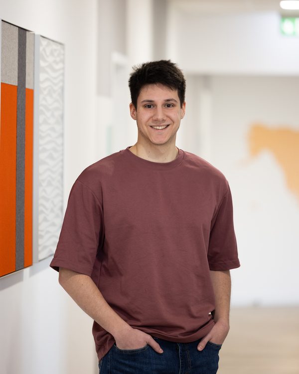 Luca Di Raimondo, Systemadministrator