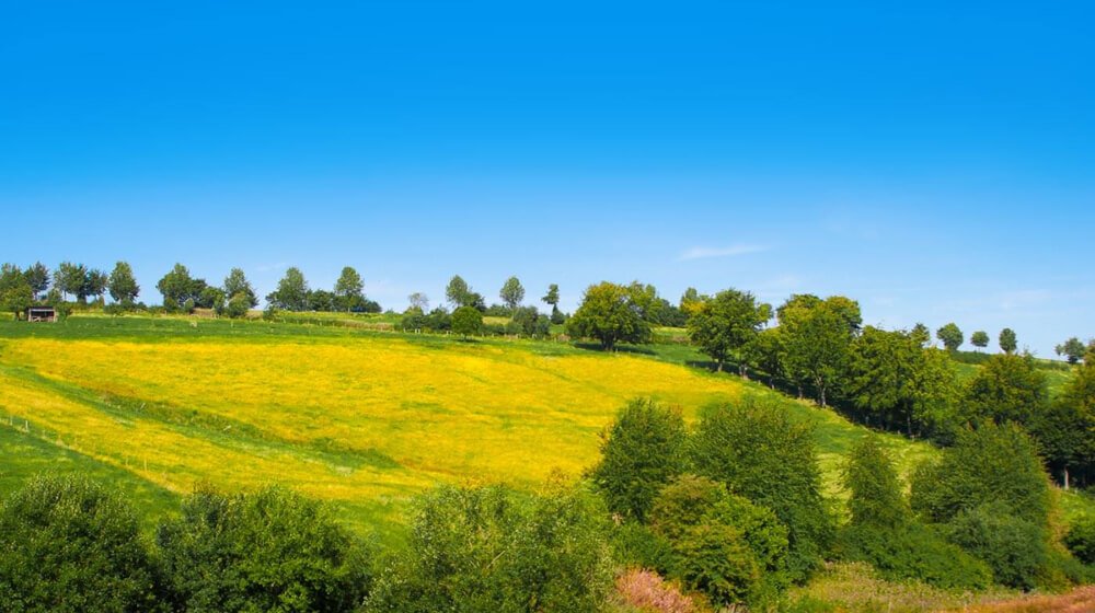 Bergische Brandversicherung 1 Anwenderbericht der menten GmbH: Bergische Brandversicherung