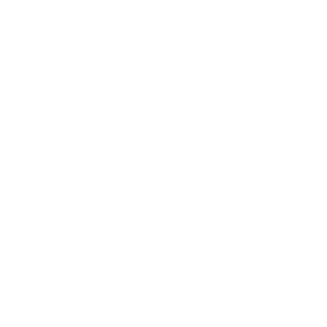 Kundenvorstellung der menten GmbH: Hewlett Packard